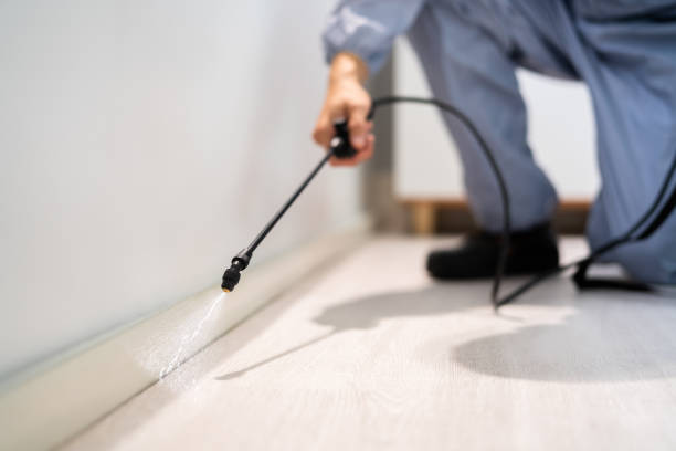 Pest control work in Brevard 1